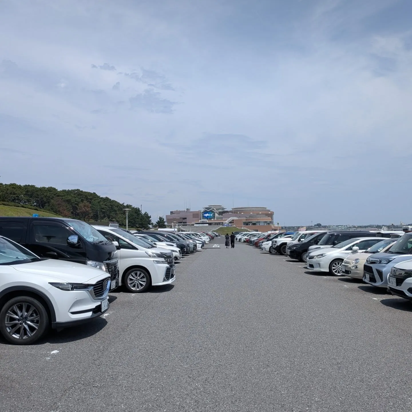 帽子とめがねの中身の話/vol33