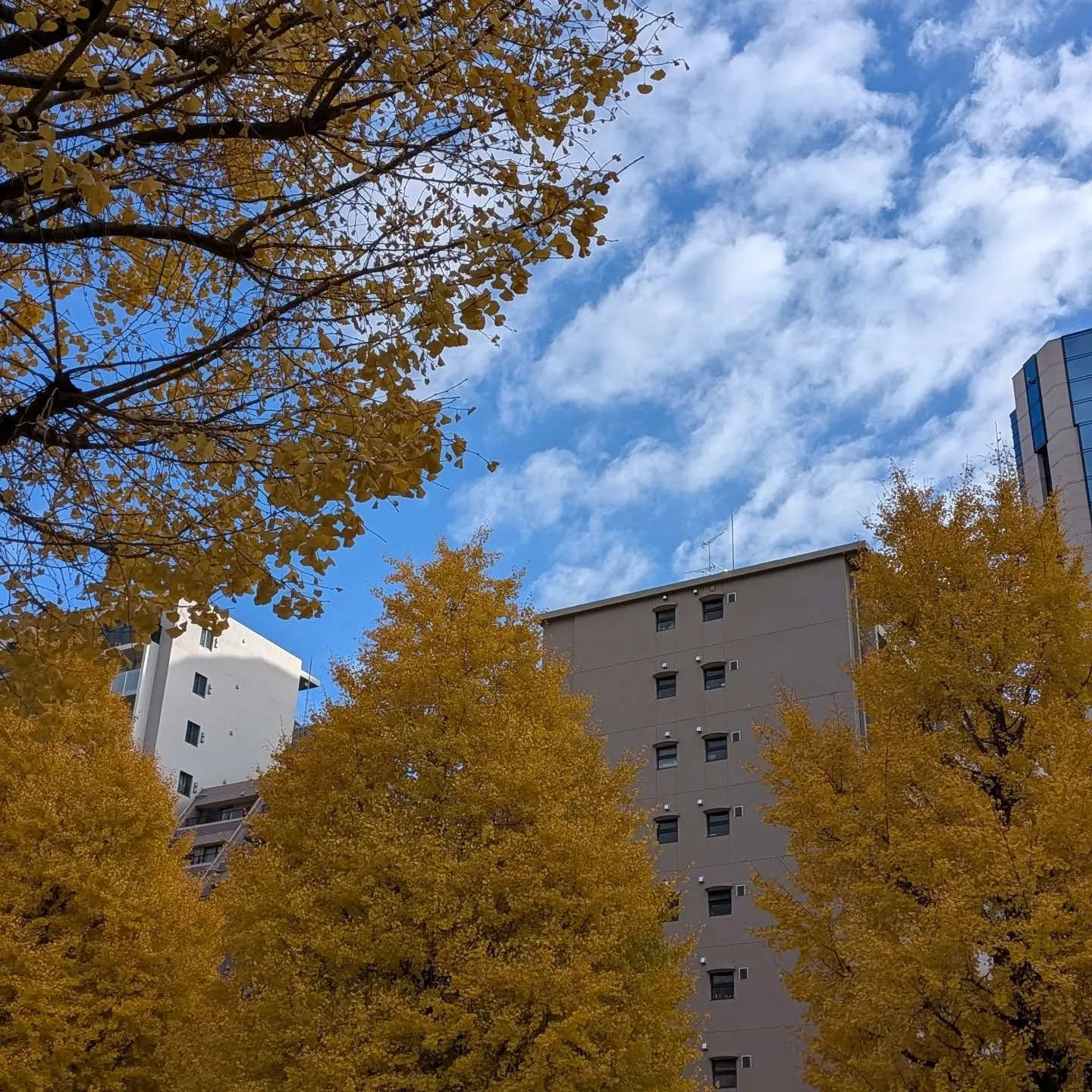 帽子とめがねの中身の話/vol35