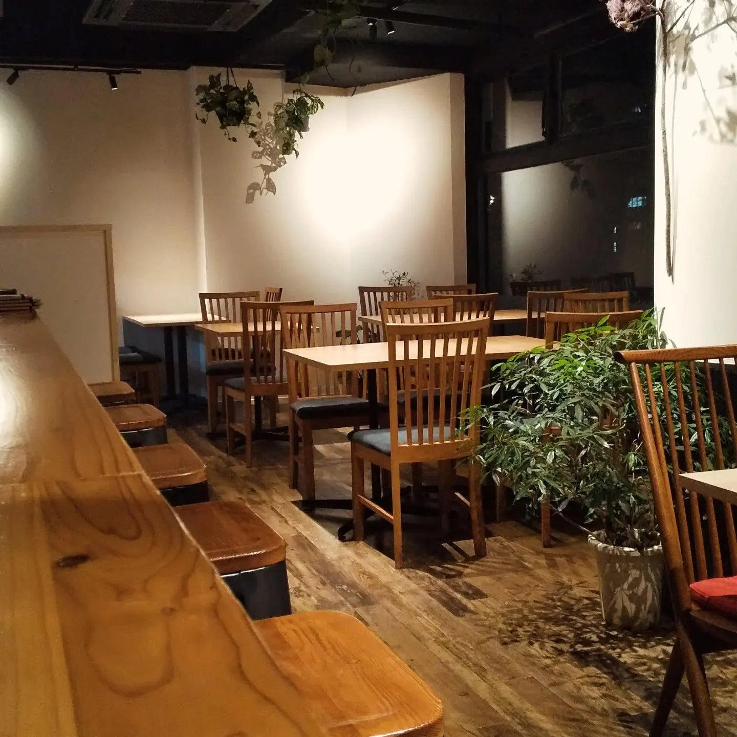 帽子とめがねのおわびとお願いの話